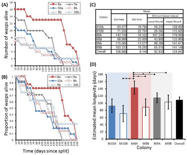 Survival details of six cohorts of P. canadensis wasps from 3 natal colonies.