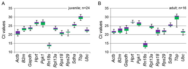 Box plot representation of RT-qPCR threshold (Ct) values of 12 reference genes in rat tissues.