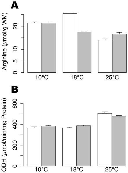 Arginine contents and ODH activity in Pecten maximus muscles.