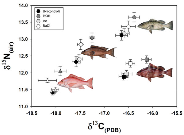 Carbon and nitrogen isotope values for the four study species showing the relative trophic positions and the effects of different preservation methods. Fish illustrations courtesy of Diane Peebles.