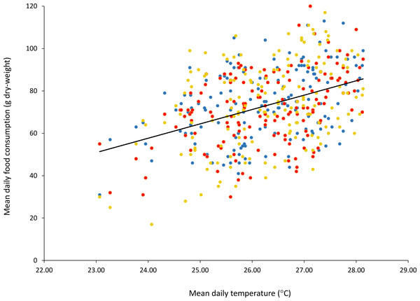 Mean daily food consumption (g dry-weight) for three B. variegatus sloths as a function of mean daily ambient temperature (°C).