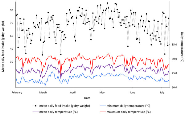 Mean daily food intake (g dry-weight) for three B. variegatus sloths and daily temperature (°C) (minimum in blue, mean in purple and maximum in red) throughout the five month study period.