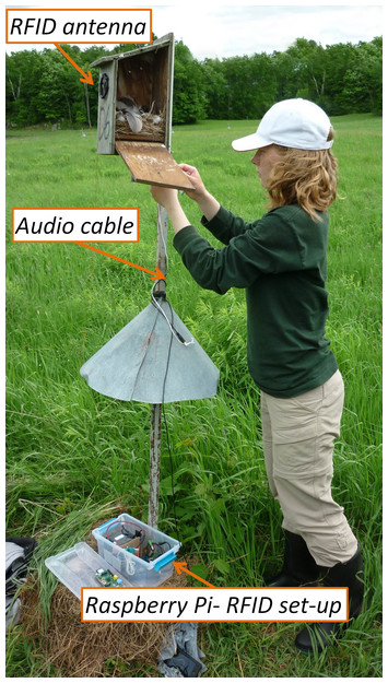 accompanying article image