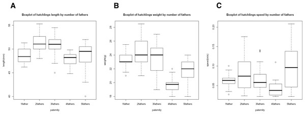 Box plot of morphological traits correlations.