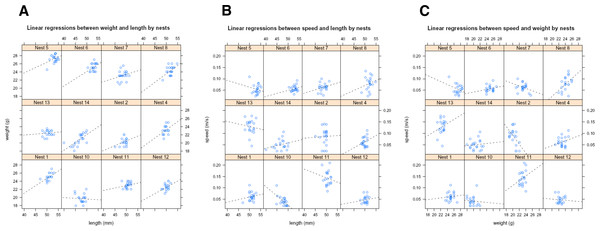 Linear regressions of morphological traits.
