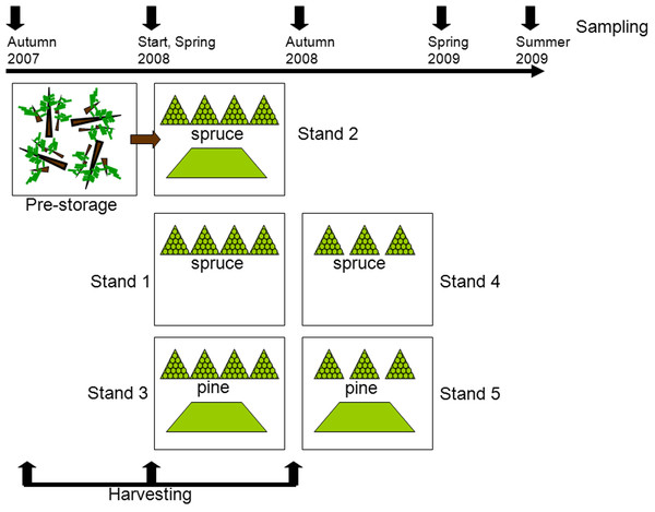 Experimental setup.