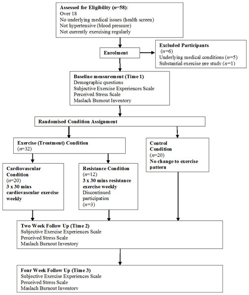 Schematic overview of study design and measurement times.