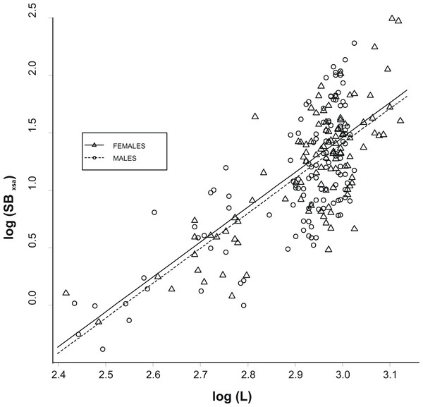 Relationship between swimbladder cross-section and body length.