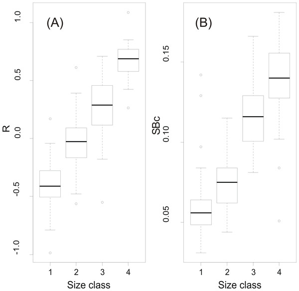 Swimbladder size and shape per macroscopic size class.