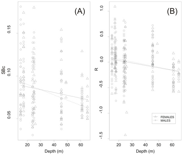 Effect of haul depth on shape and size of sardine swimbladder.