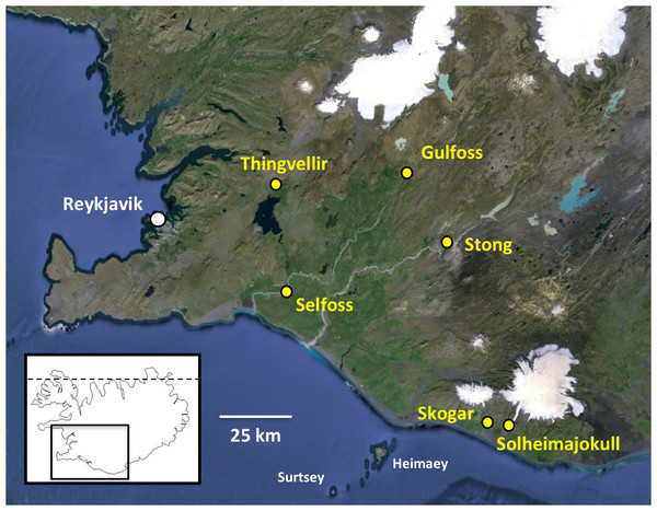 Populations of Platanthera hyperborea sampled in southwest Iceland during the present study.