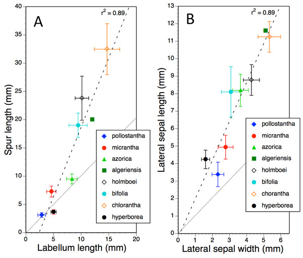 Bivariate plot of taxon mean values for (A) labellum length versus spur length and (B) lateral sepal width versus lateral sepal length for Platanthera hyperborea plus seven putative species and two hybrid combinations in Platanthera section Platanthera.