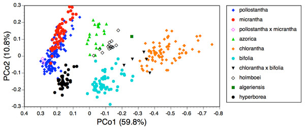 Bivariate scatter-diagram of the first two principal coordinates derived from 37 morphometric characters measured in individuals of Platanthera hyperborea plus seven putative species and two hybrid combinations in Platanthera section Platanthera.