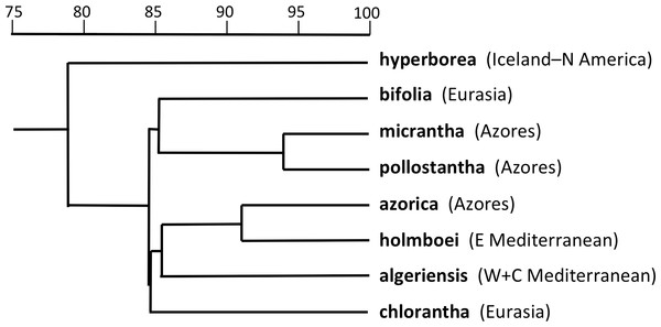 Dendrogram providing a morphometric comparison of Icelandic P. hyperborea with three Azorean and four Eurasian species of Platanthera section Platanthera.