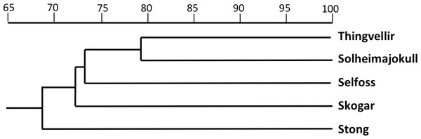 Dendrogram showing morphometric relationships of the five study populations of P. hyperborea.