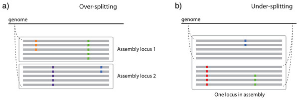 Two ways in which similarity thresholds can result in spurious assemblies.