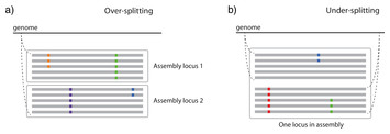 Similarity thresholds used in DNA sequence assembly from short reads ...