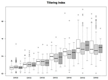 Natural variation in teosinte at the domestication locus teosinte ...