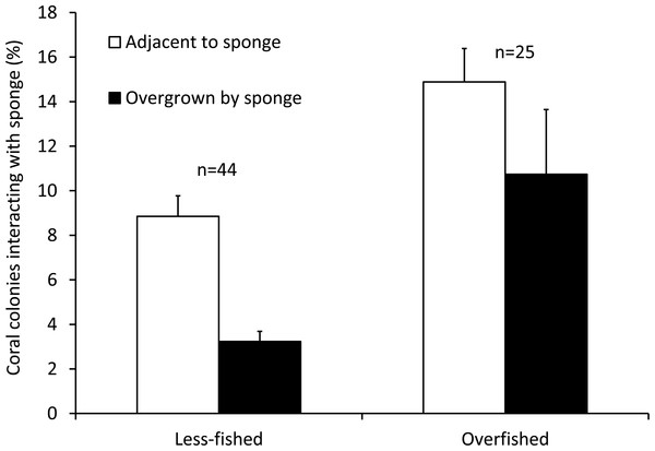 Coral-sponge interactions for reef sites that were less-fished (n = 44) and overfished (n = 25).