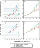 Copepods enhance nutritional status, growth and development in Atlantic ...