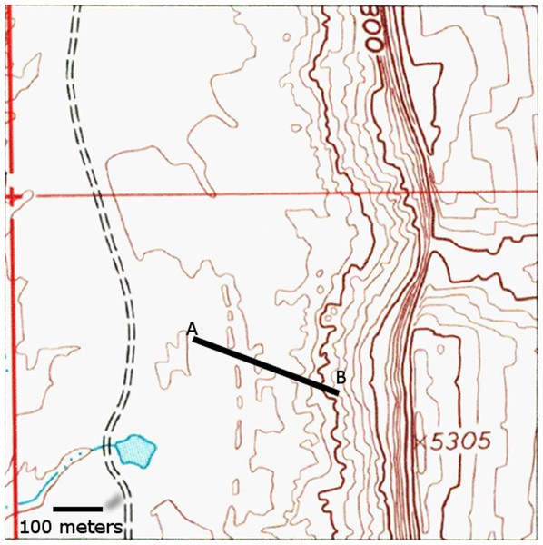 Location of measured stratigraphic section in Fig. 4.