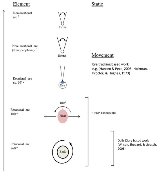 Hierarchy of rotating and non-rotating elements that determine the absolute head orientation and, beyond this, the elements that determine whether an object within the field of view afforded by the head orientation falls onto the fovea.