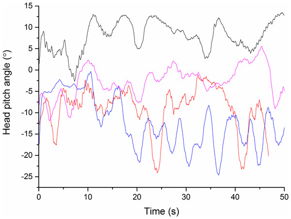 Head pitch angle from four different subjects (differently coloured lines) walking down an unmarked corridor.