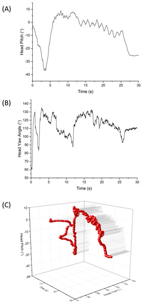 Example period of 30 s showing head directionality (A) pitch (B) heading and (C) both pitch and heading combined in a 3-dimensional plot, for a visitor walking through green space (the National Botanic Garden of Wales).