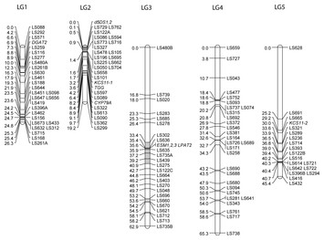 accompanying article image