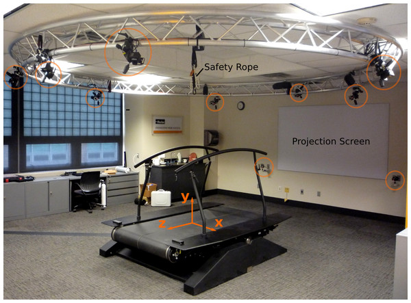 The treadmill with coordinate system, cameras (circled in orange), projection screen, and safety rope.