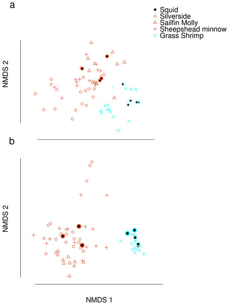 Non-metric Multi-Dimensional Scaling (NMDS) plots of fatty acid profiles for squid and their potential prey (A) before and (B) after variable selection.