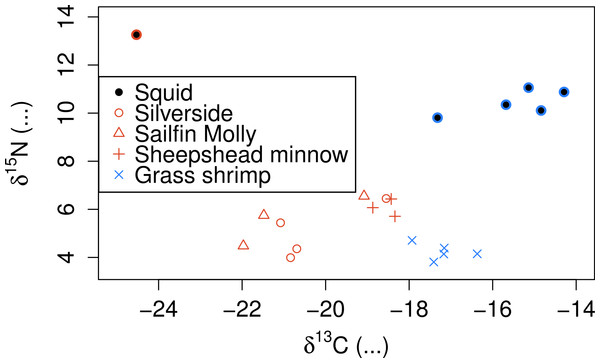 Stable isotope signatures of squid and their potential prey.