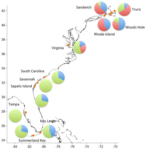 Geographic distribution of the three major haplogroups.