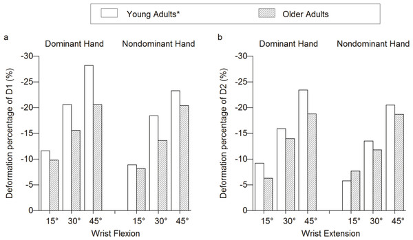 Deformation percentages between young and older adults.