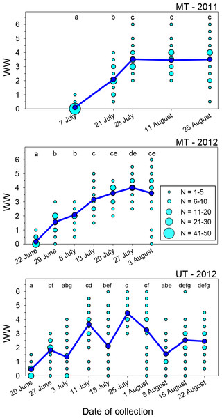 Seasonal changes in the index of wing wear (WW).