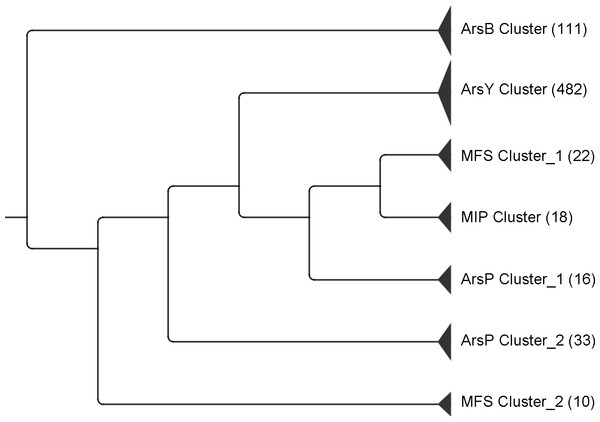 UPGMA tree of the five major transporters encoded in ars operons.