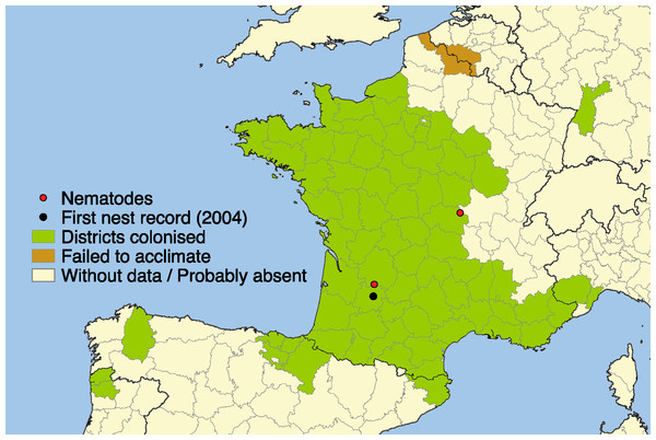 Current distribution of Vespa velutina.