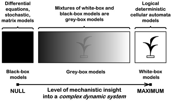 Three types of mathematical models for complex dynamic systems.