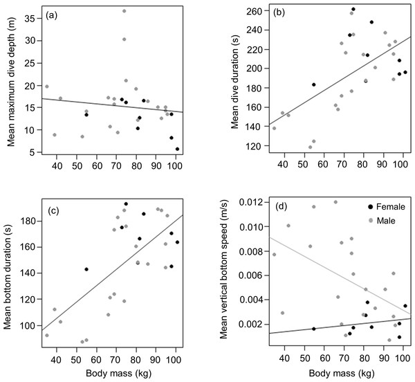 Relationship between (A) mean maximum dive depth (B) mean dive duration (C) mean bottom duration and (D) mean bottom speed as a function of body mass of female and male harbour seals.