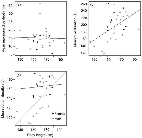 Relationship between (A) mean maximum dive depth (B) mean dive duration and (C) mean bottom duration as a function of body length of female and male harbour seals.