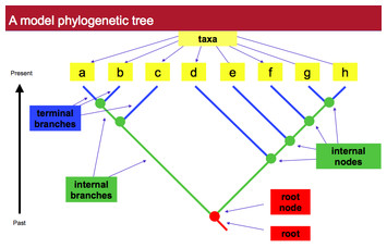 accompanying article image