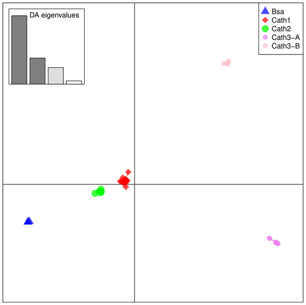 Discriminant Analysis of Principle Components (DAPC) scatterplot of the five allele clusters.