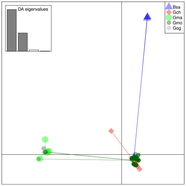 Discriminant Analysis of Principle Components (DAPC) scatterplot of the five species clusters.