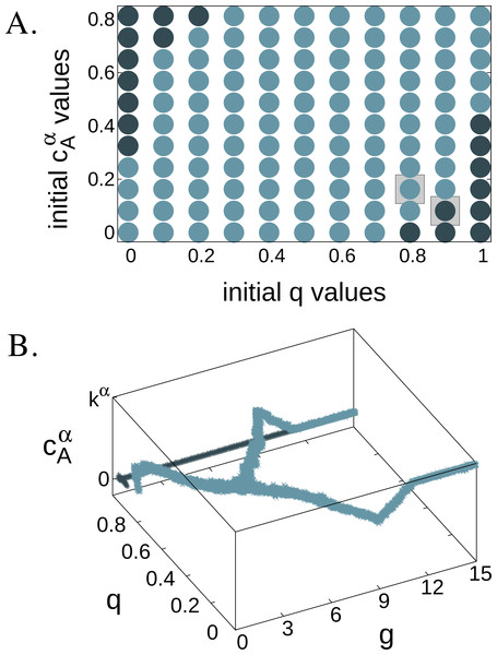 The effect of the initial trait values on branching in model (I).