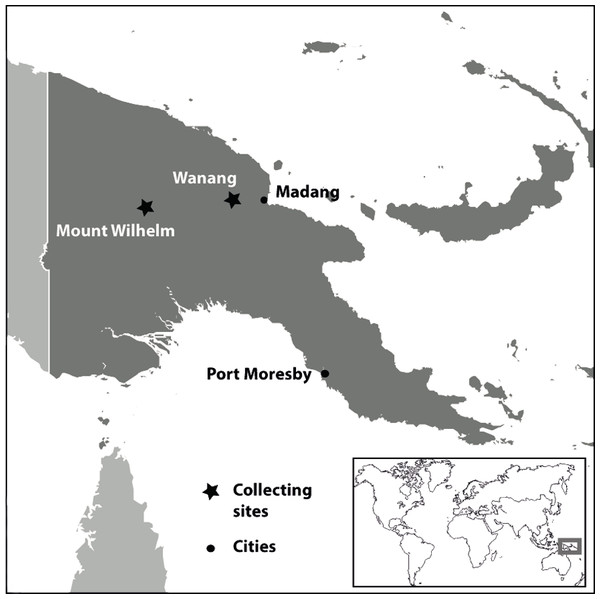 Location of collecting sites in Papua New Guinea.