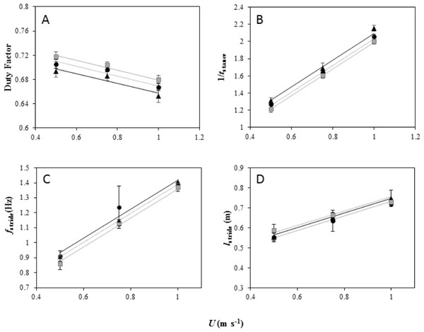 Foot kinematics of peacocks moving on a level treadmill (black dotted line and black, triangle markers) and at inclines of 5° (black dotted line and black circle markers) and 7° (grey solid line and grey, square markers).