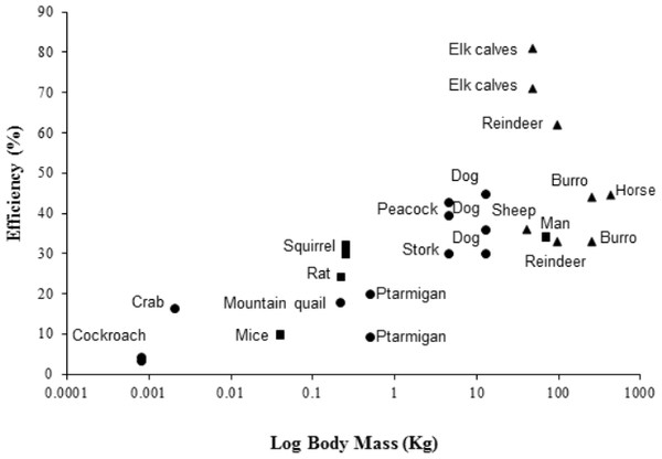 Showing the efficiencies of converting metabolic energy into mechanical work in a number of vertebrate (bipedal, depicted by blue markers; quadrupedal, depicted by red markers) and invertebrate (depicted by green markers) animals.