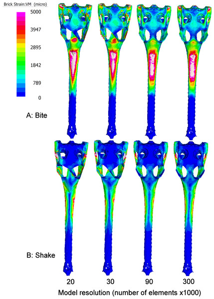 Strain patterns.