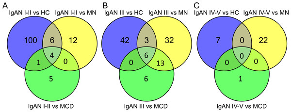 Overlapping relationship of the differentially expressed miRNAs in IgAN subgroups.