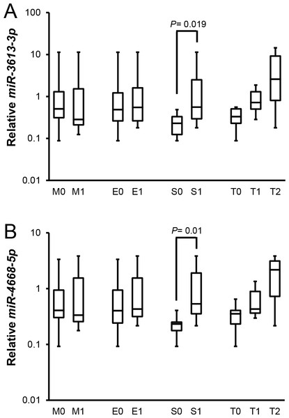 Relationships between candidate miRNAs levels and pathological parameters in patients with IgAN according to Oxford classification.